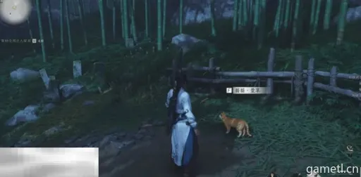 燕云十六声清河烧瓷岭猫戏地址揭秘 燕云十六声清河烧瓷岭猫戏地址揭秘